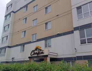 Apart house Сопка