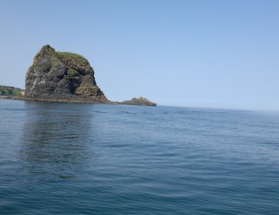 Сахалин-сафари