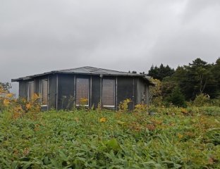 Серебряные болота