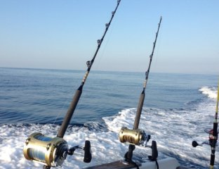 Сириус Туристик