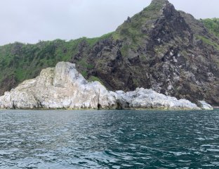 Флагман-Тур