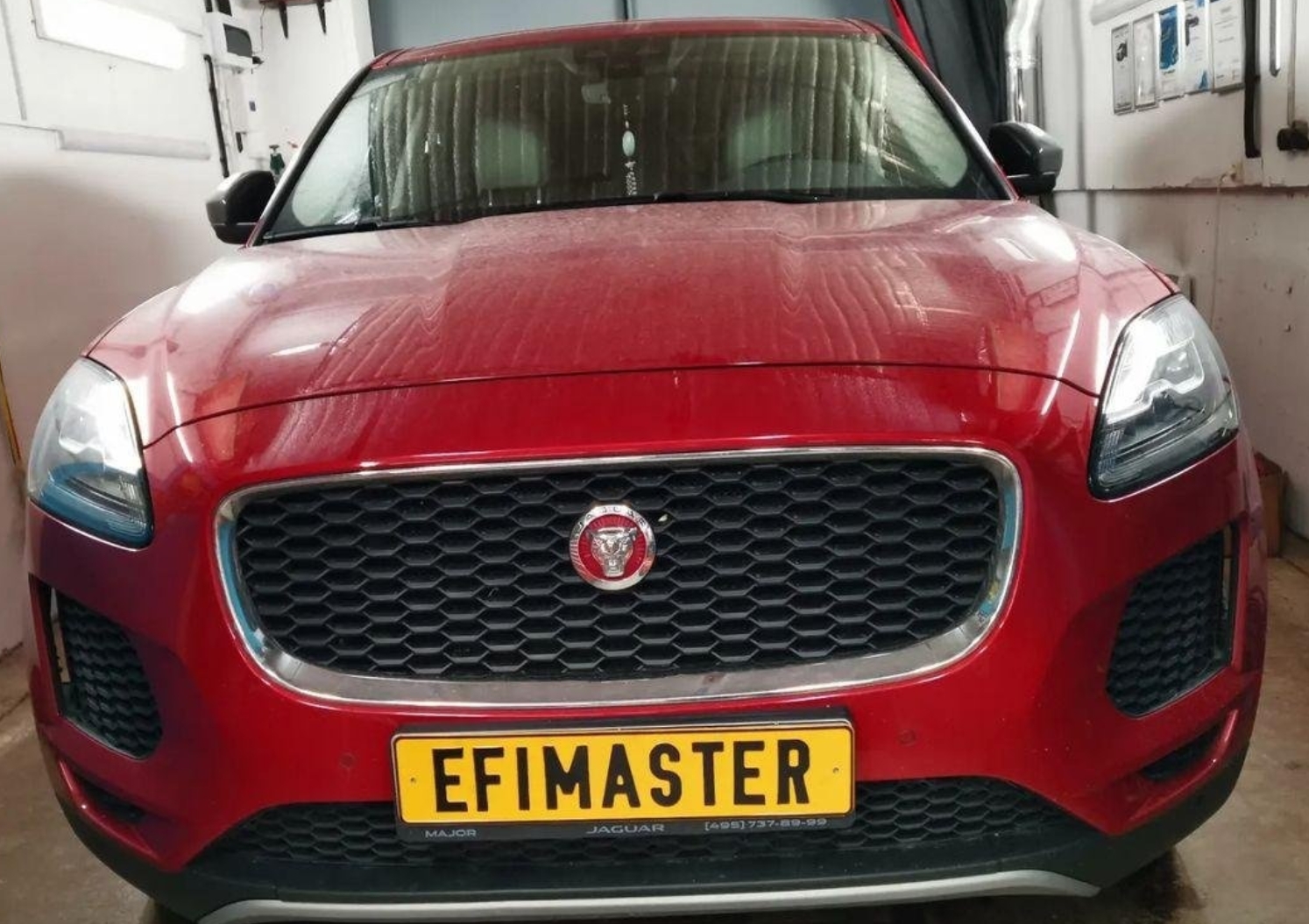 Фото организации