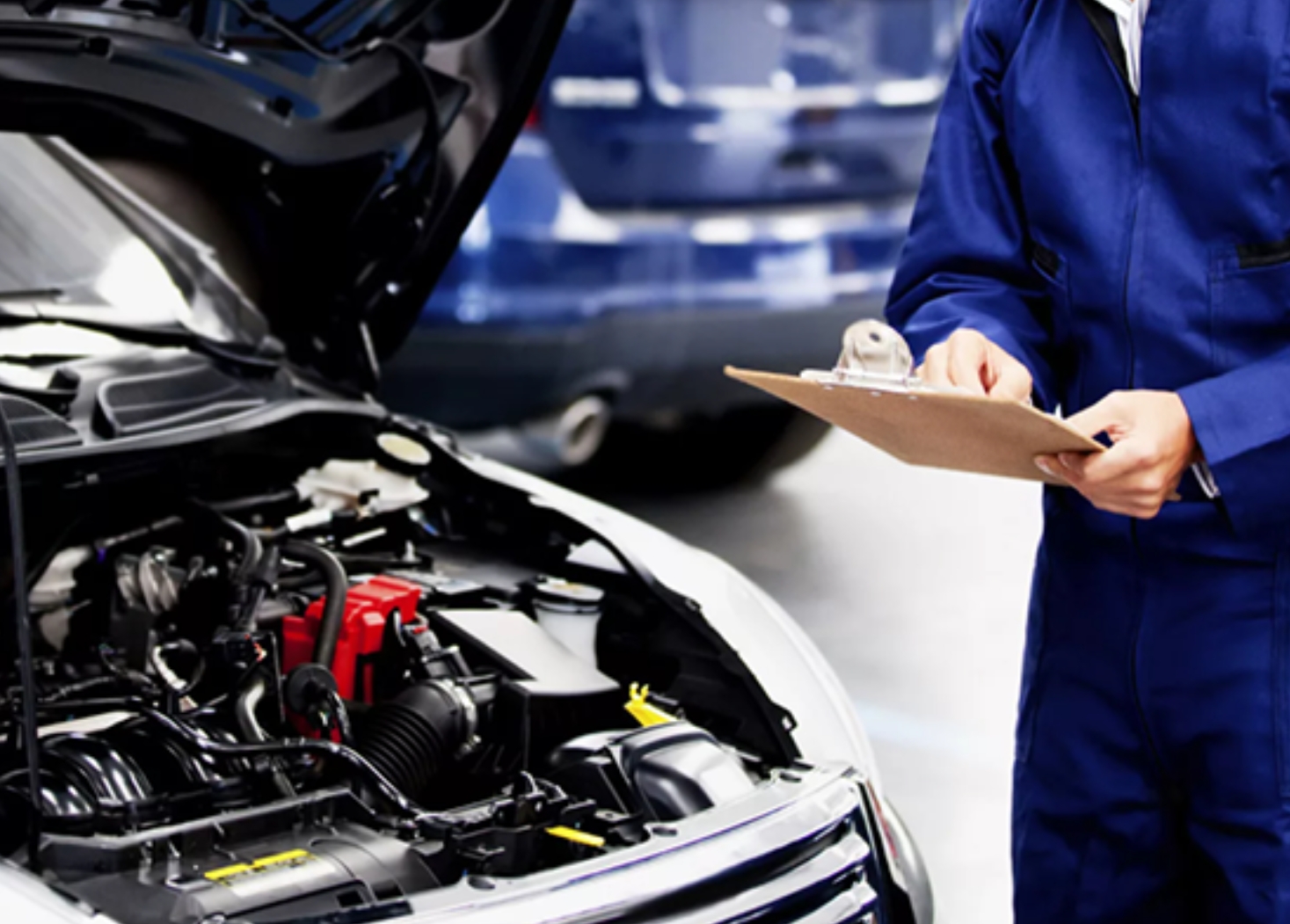 Фото организации