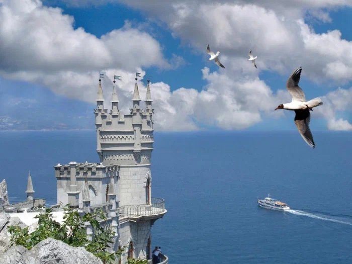 Фото организации