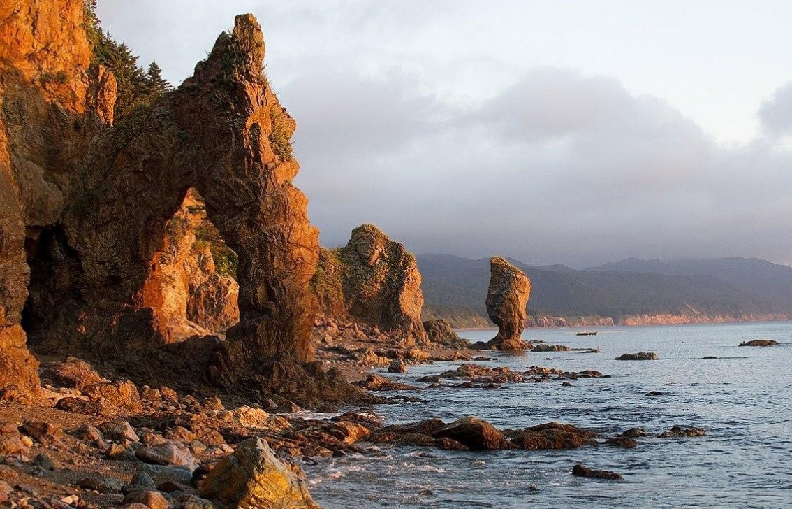 Фото организации