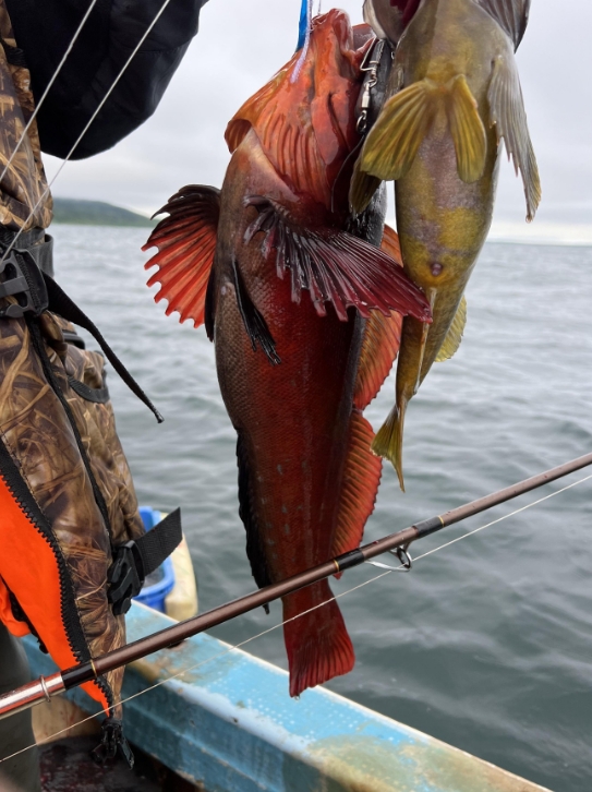 Фото организации