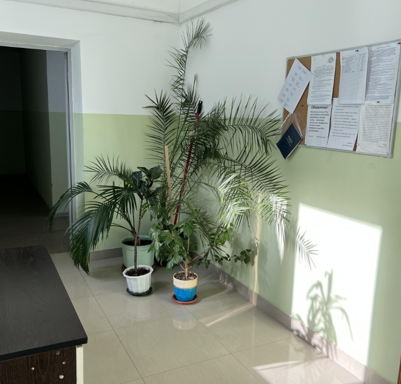 Фото организации