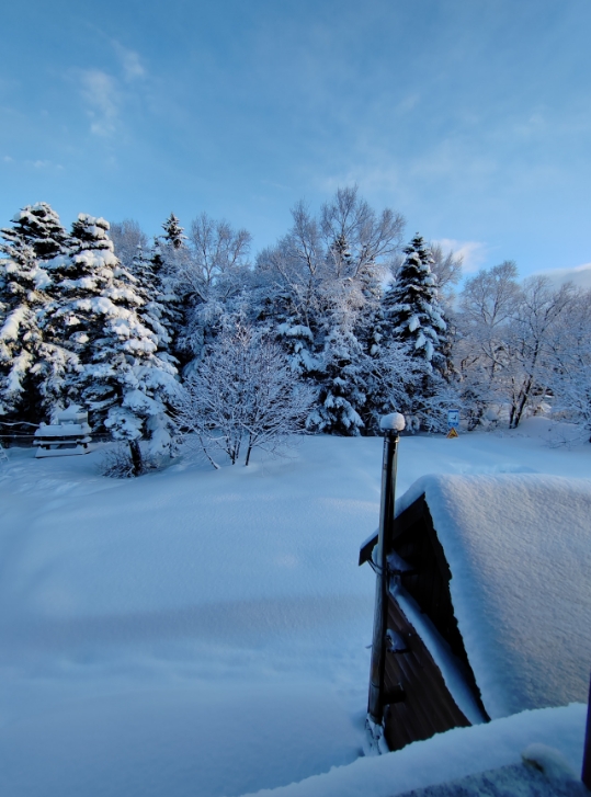 Фото организации