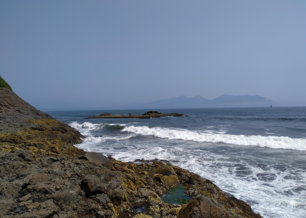 Фото организации