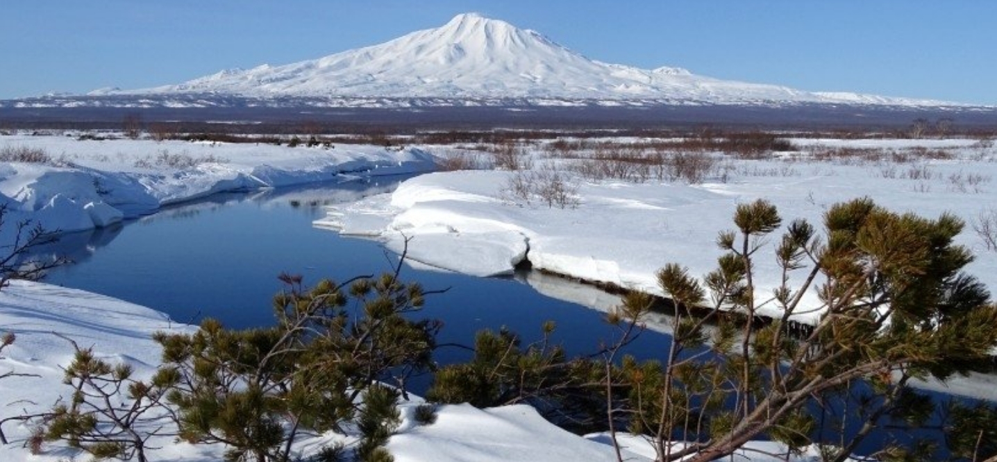 Фото организации