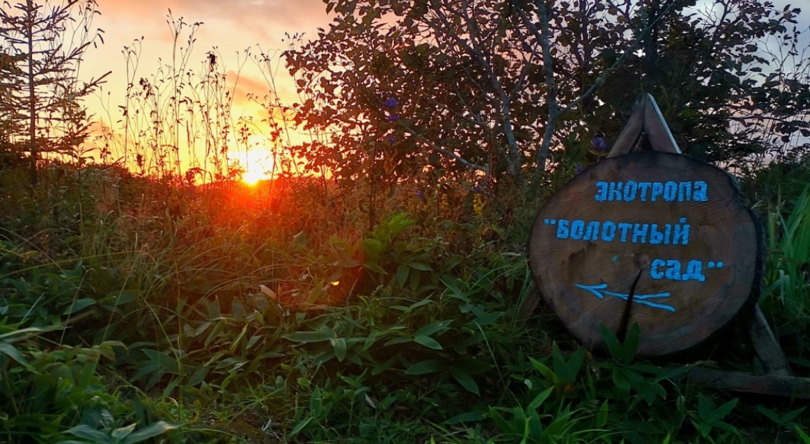 Фото организации