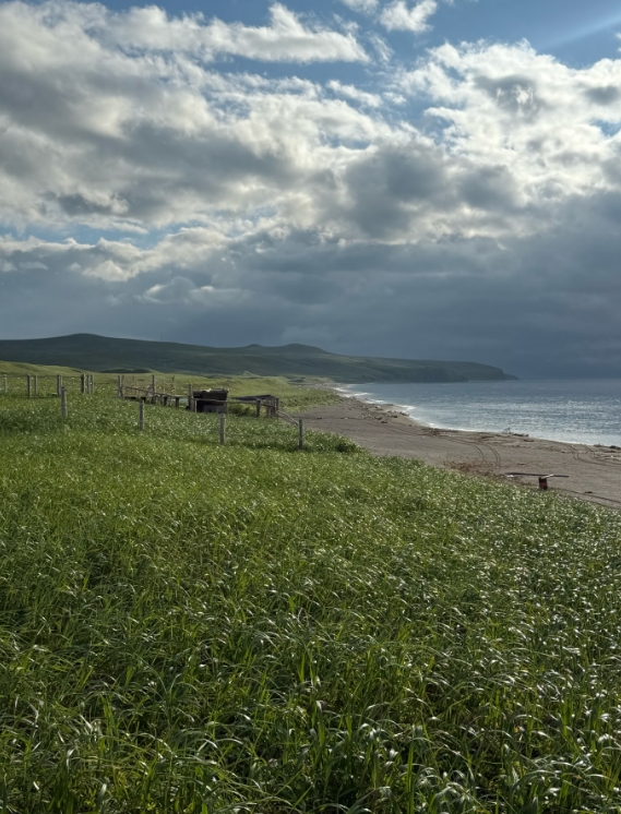 Фото организации