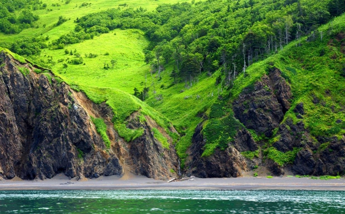 Фото организации