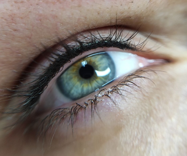 Фото организации