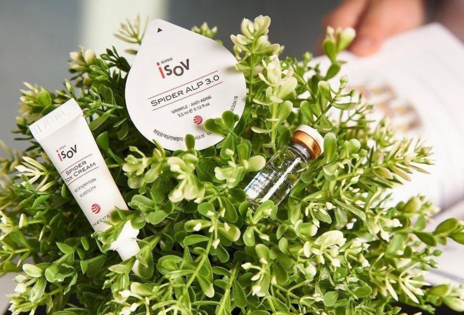 Фото организации