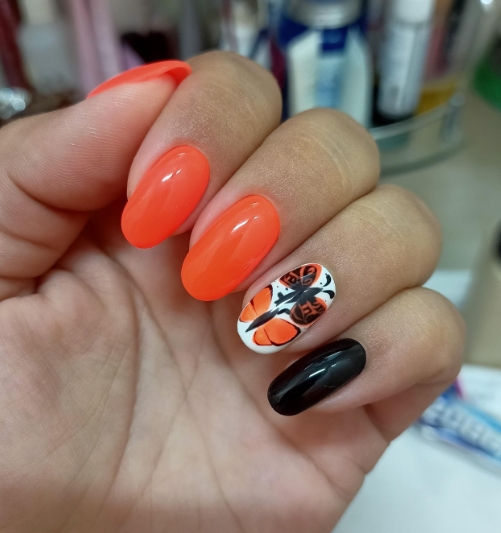 Фото организации