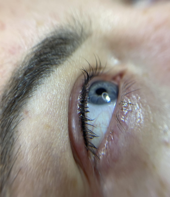 Фото организации