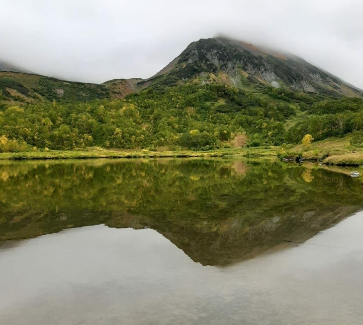 Фото организации