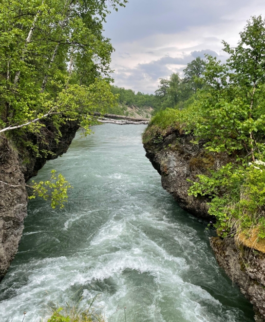 Фото организации