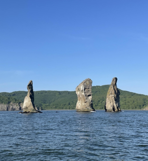 Фото организации