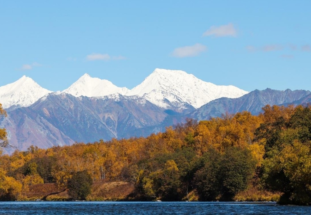 Фото организации