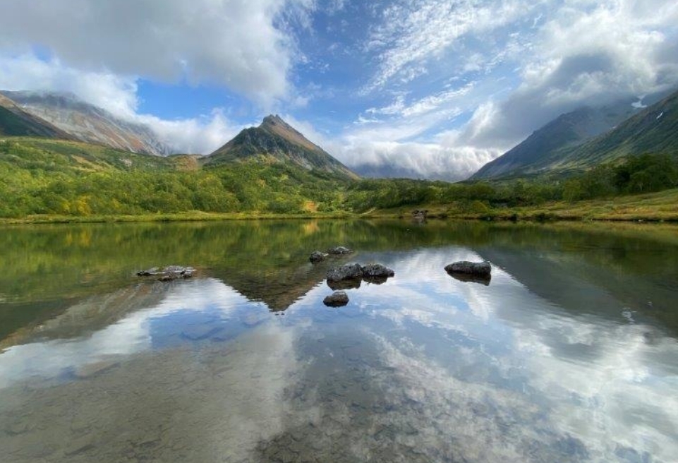 Фото организации