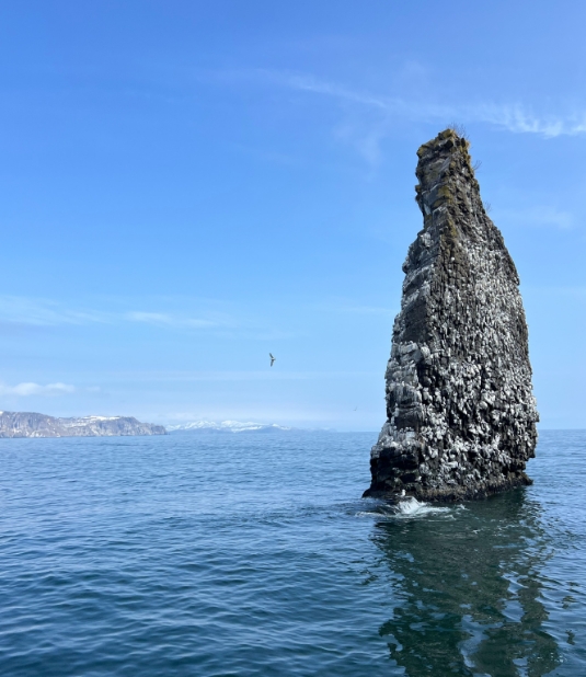 Фото организации