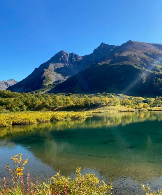 Фото организации