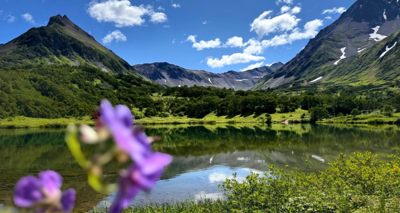 Фото организации