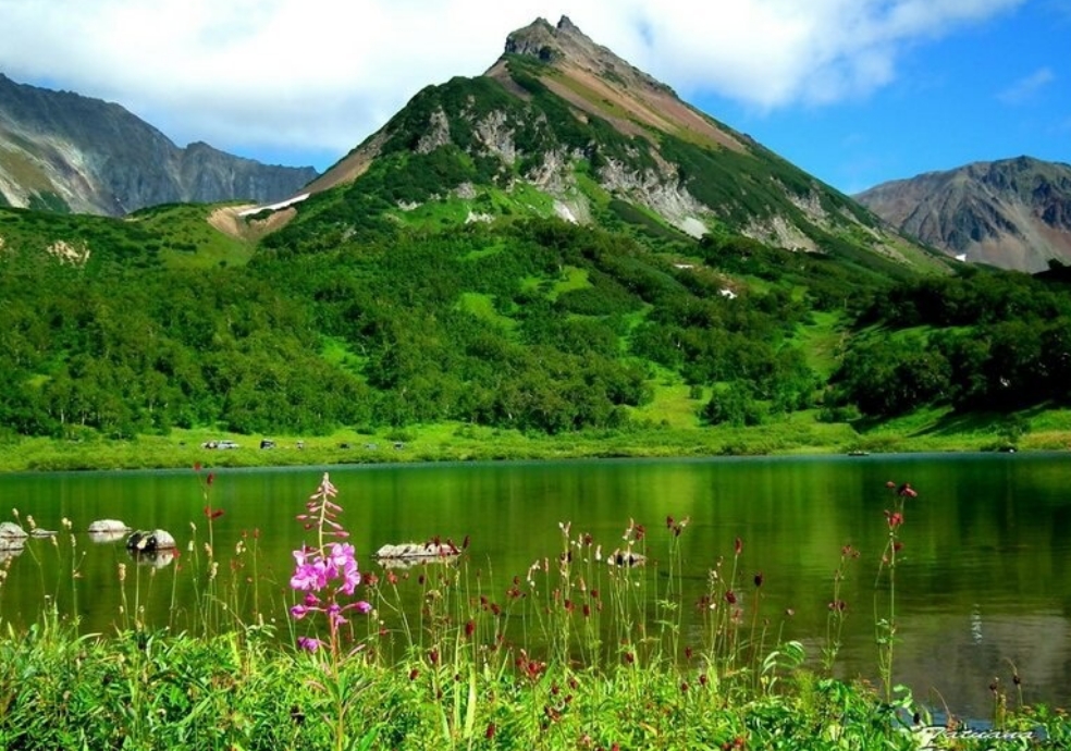 Фото организации