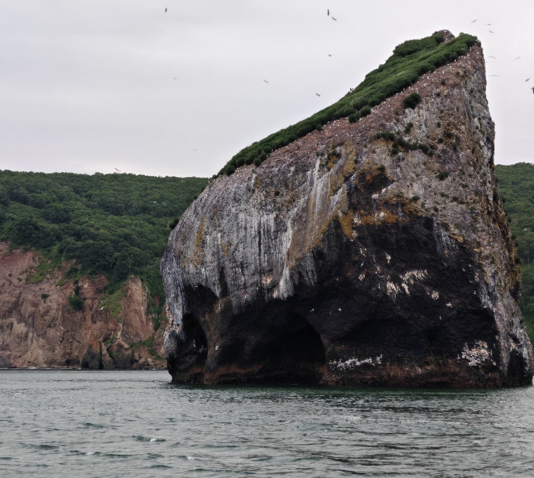 Фото организации