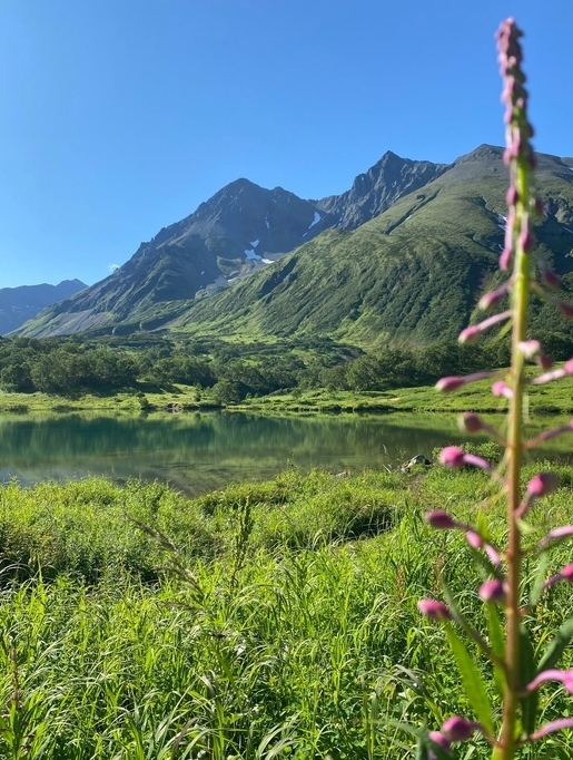 Фото организации