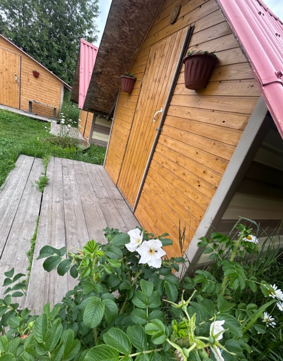 Фото организации