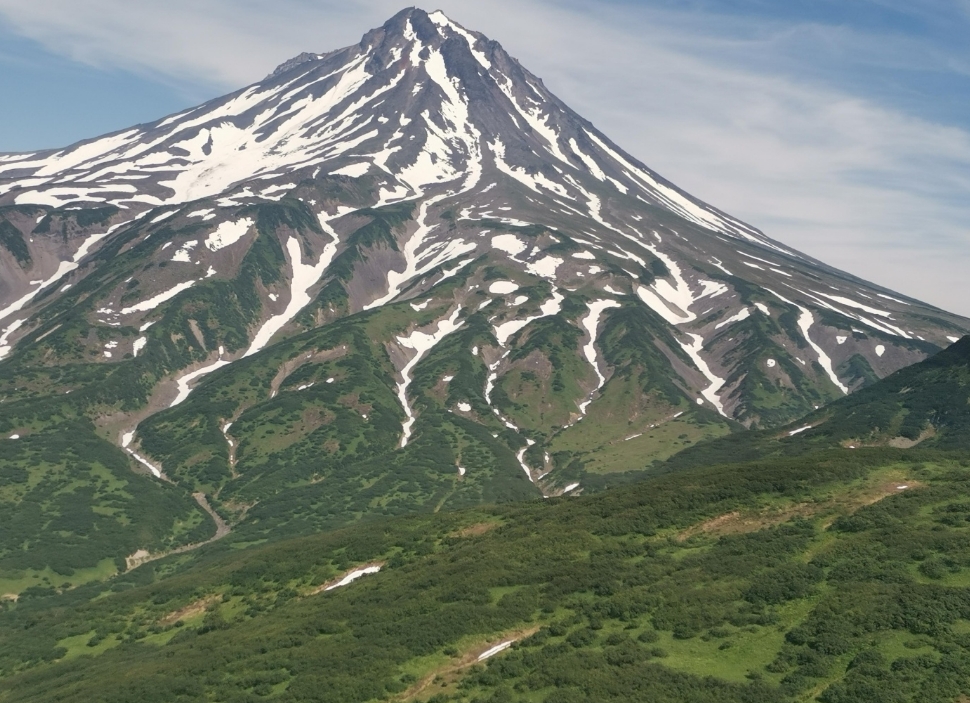 Фото организации