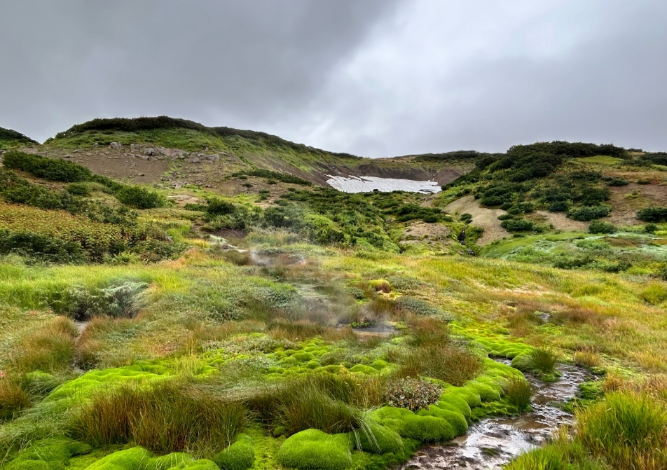 Фото организации