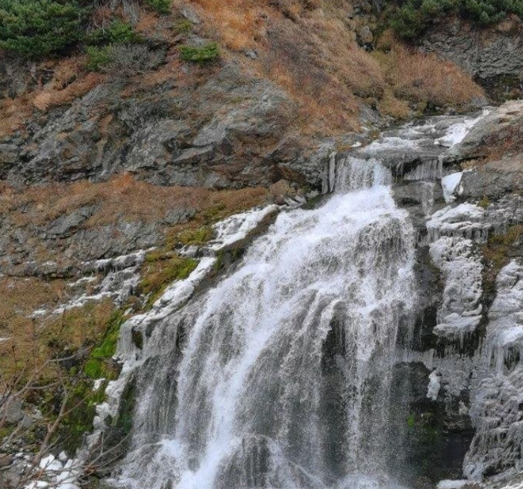 Фото организации