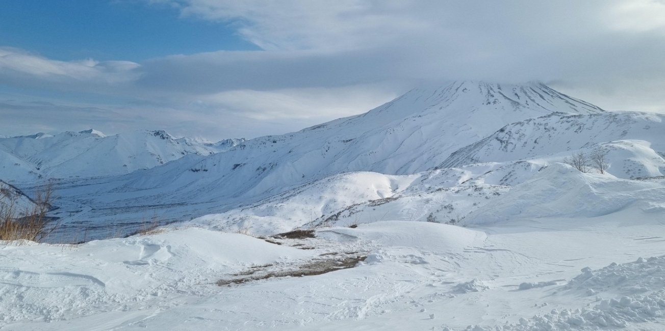 Фото организации
