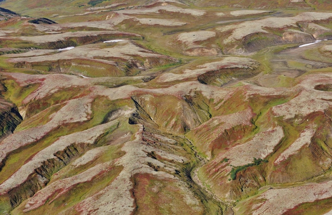 Фото организации