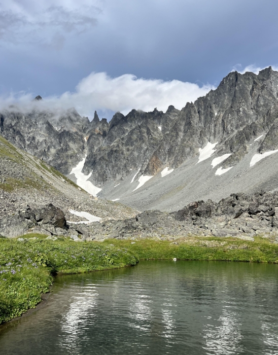 Фото организации