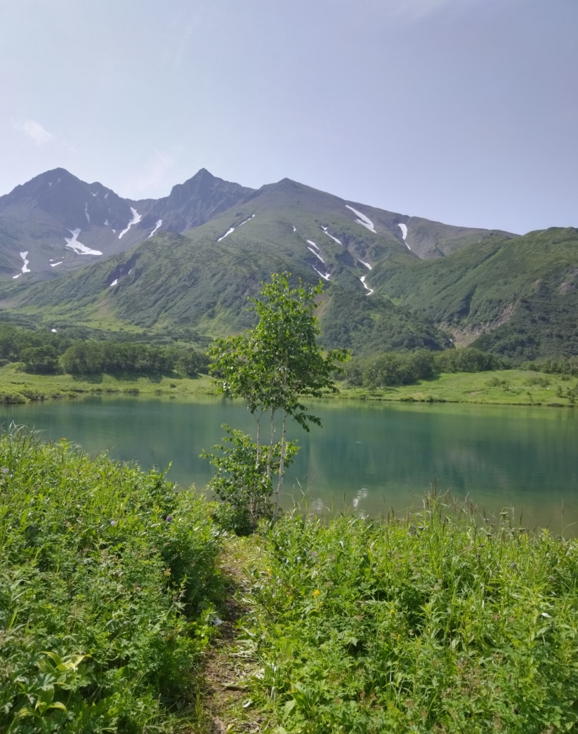 Фото организации