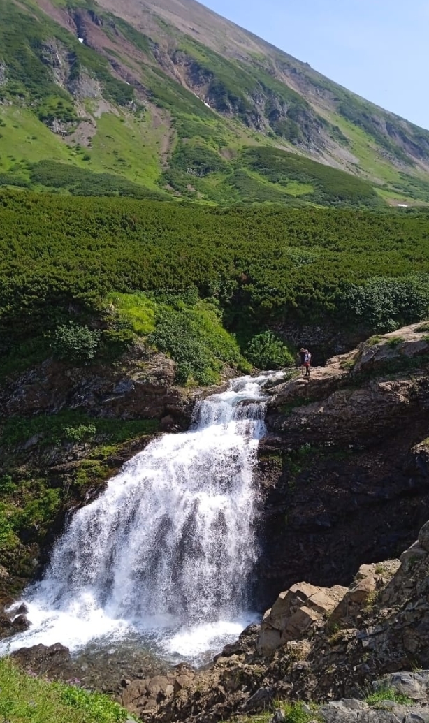 Фото организации