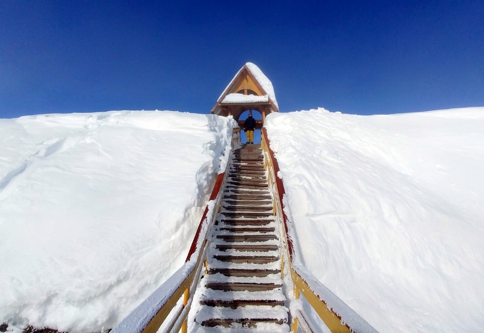 Фото организации