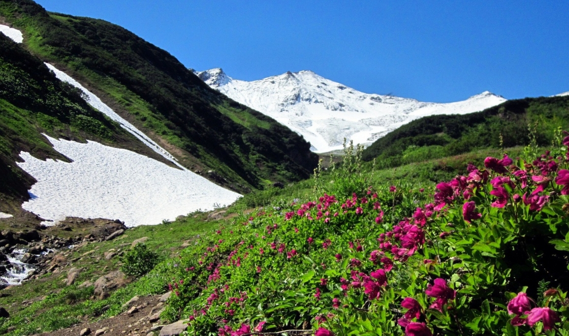 Фото организации