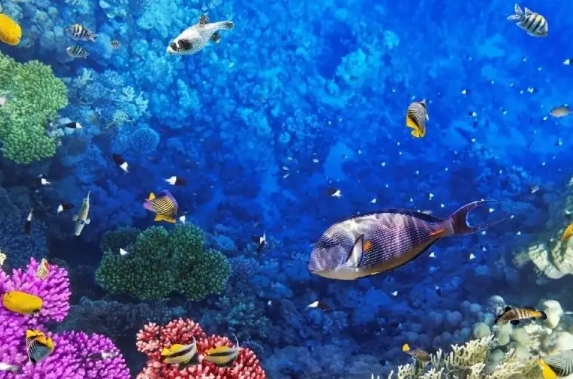 Фото организации