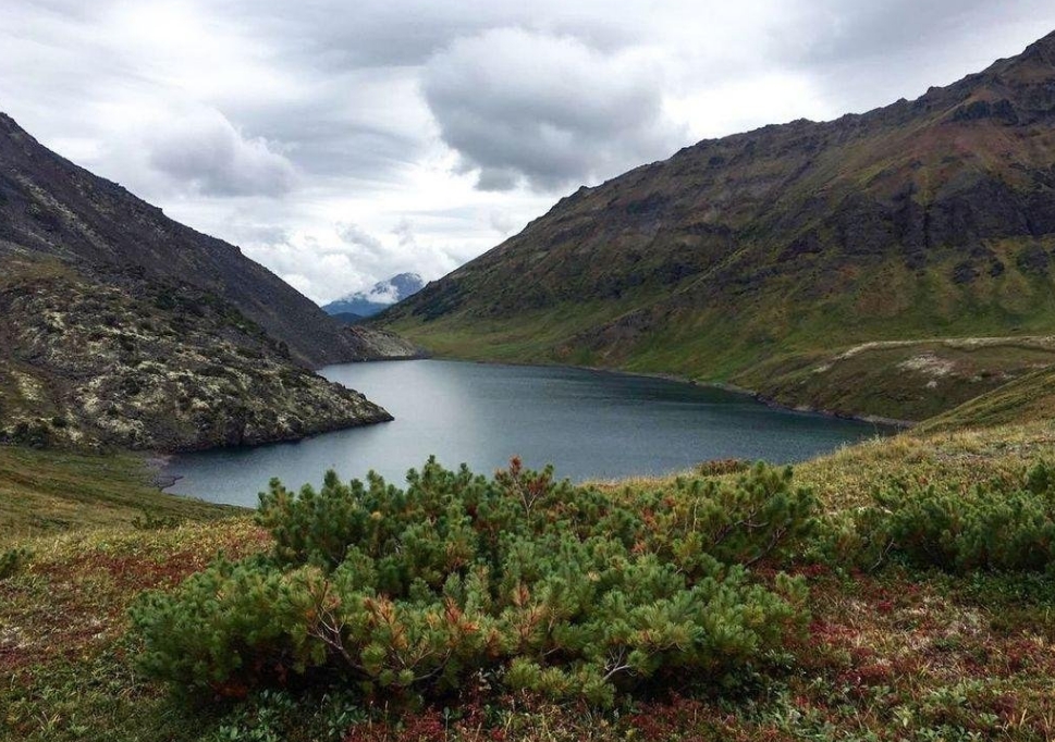 Фото организации