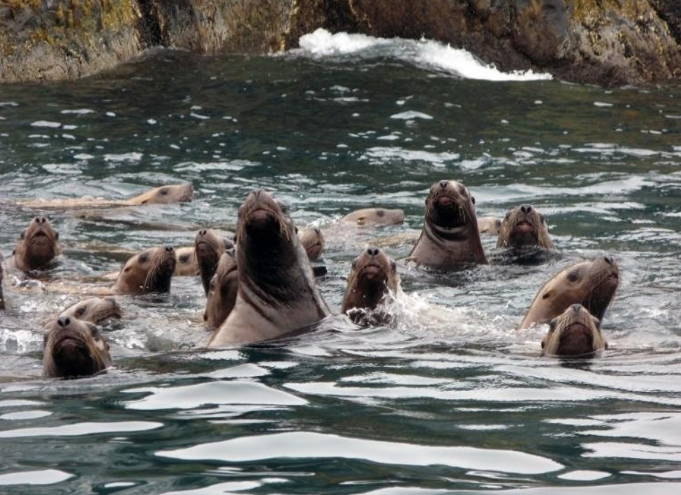 Фото организации