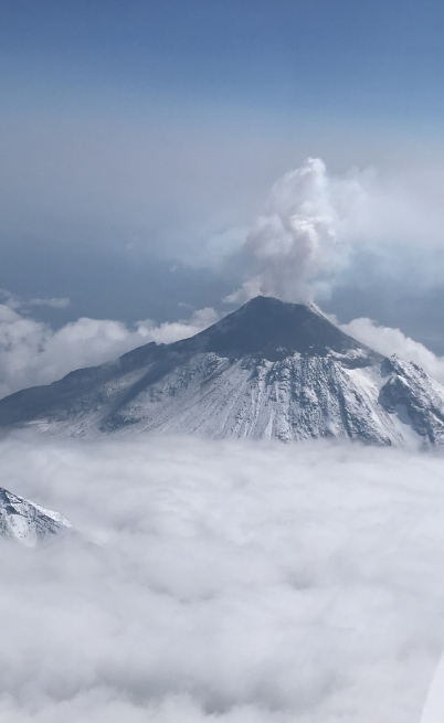 Фото организации