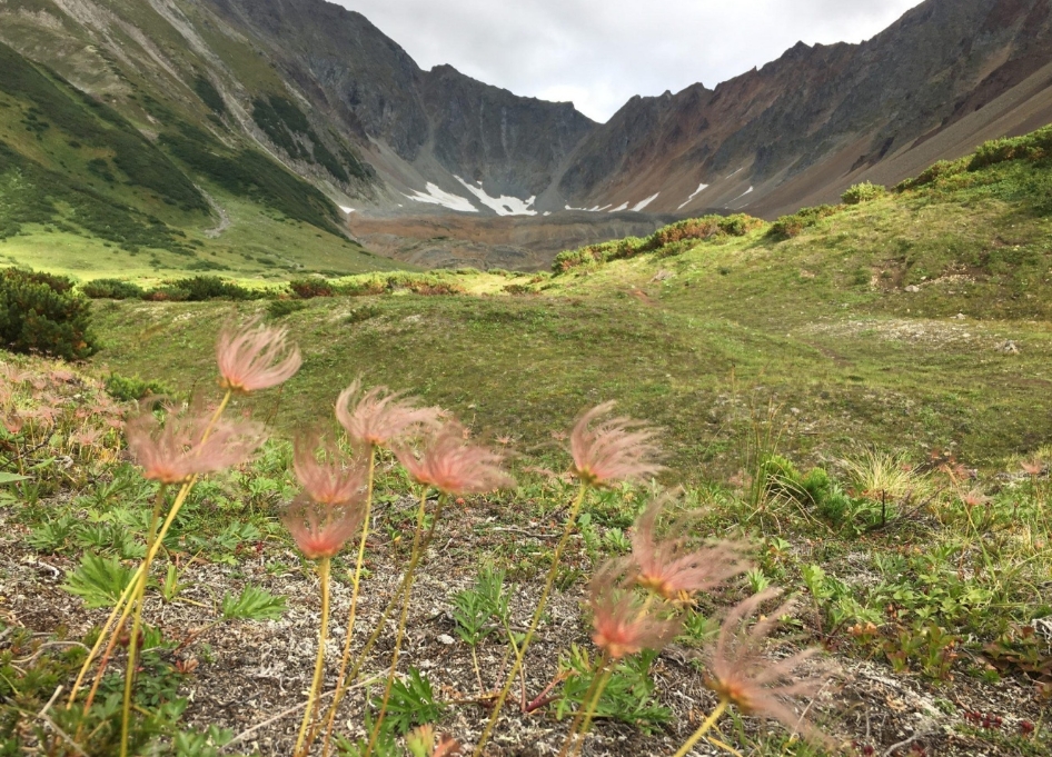 Фото организации