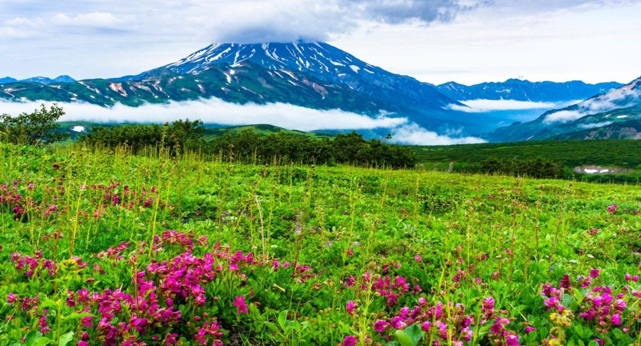 Фото организации