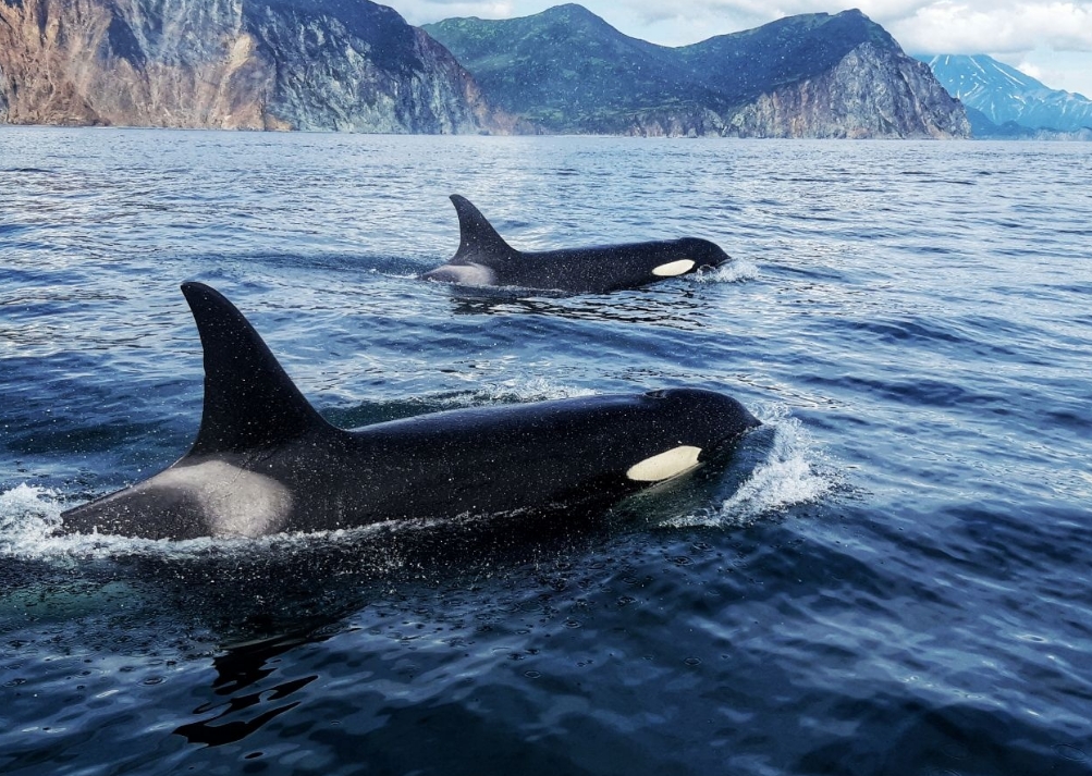 Фото организации